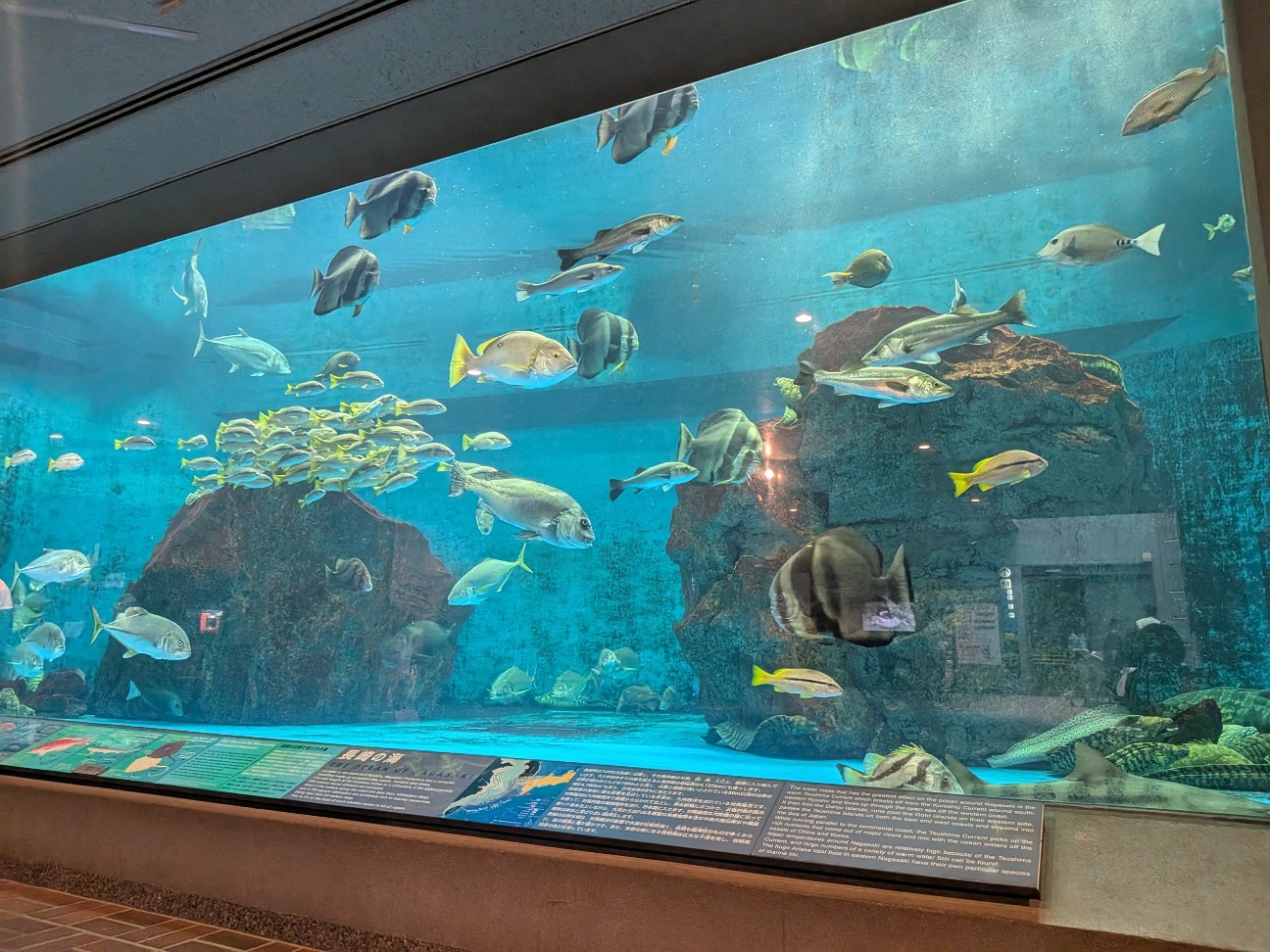 f:id:ranchou:20251005100334j:image f:id:ranchou:20251005100334j:image