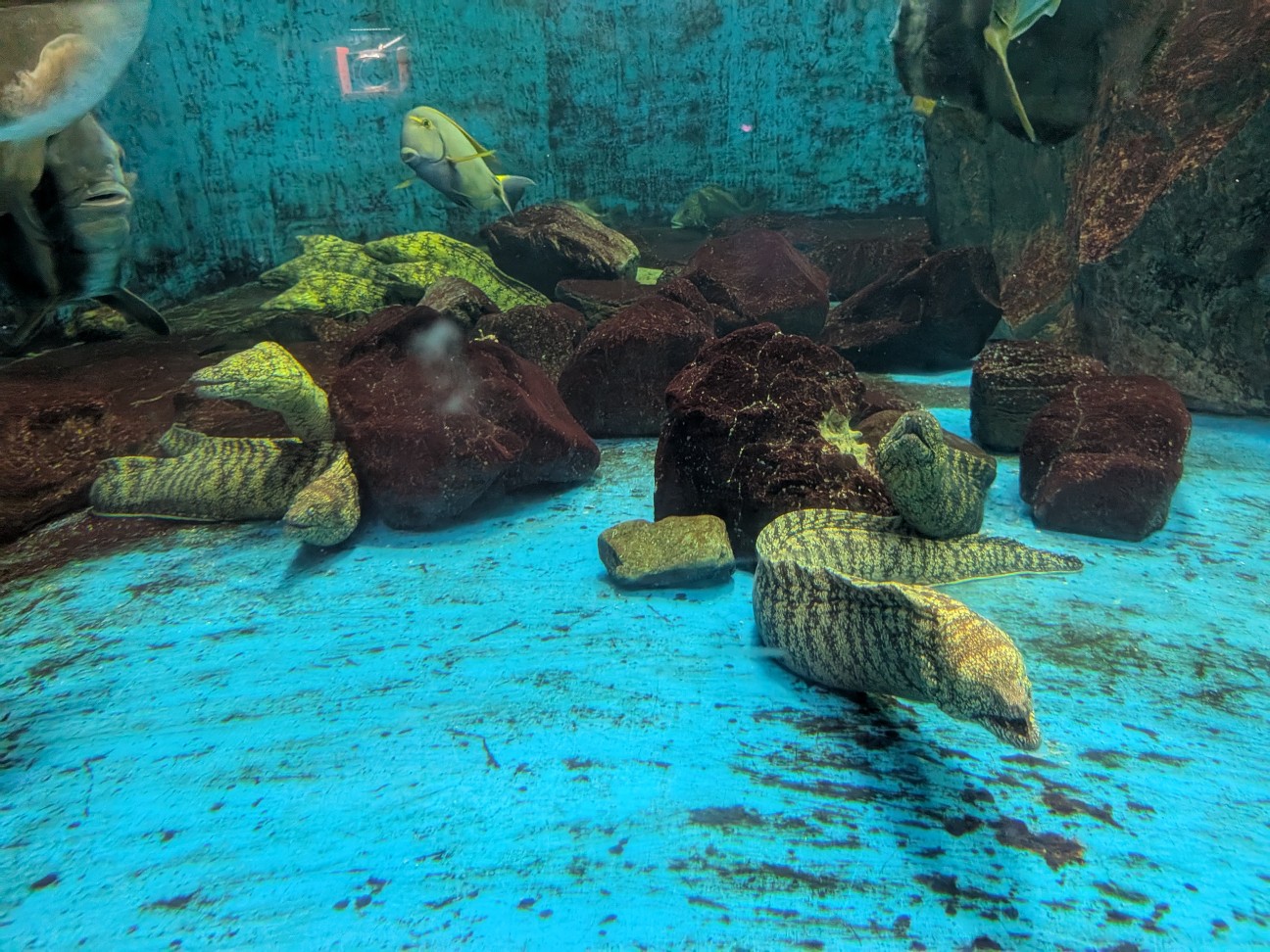 f:id:ranchou:20251005100410j:image f:id:ranchou:20251005100410j:image