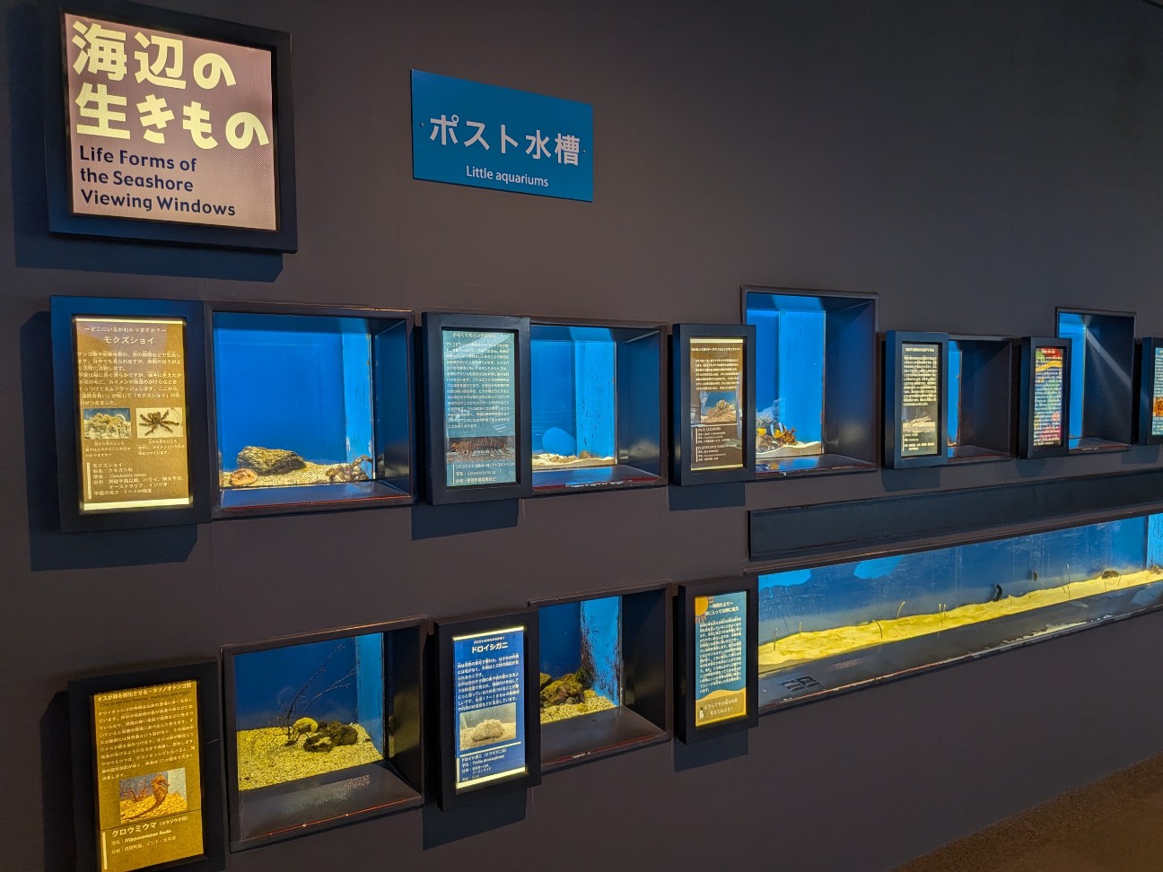 f:id:ranchou:20251005100451j:image f:id:ranchou:20251005100451j:image