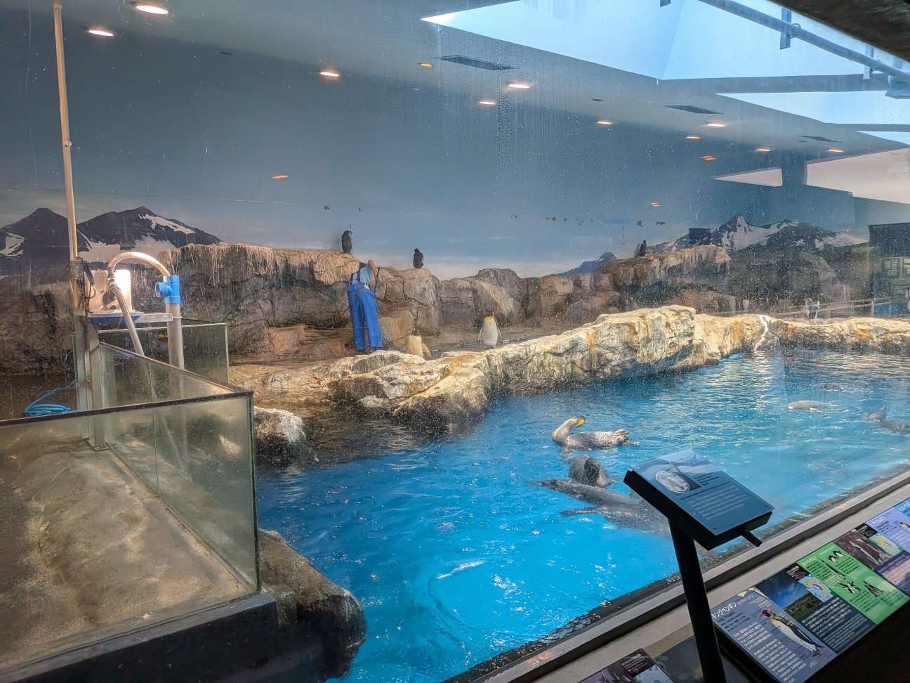 f:id:ranchou:20251005100637j:image f:id:ranchou:20251005100637j:image