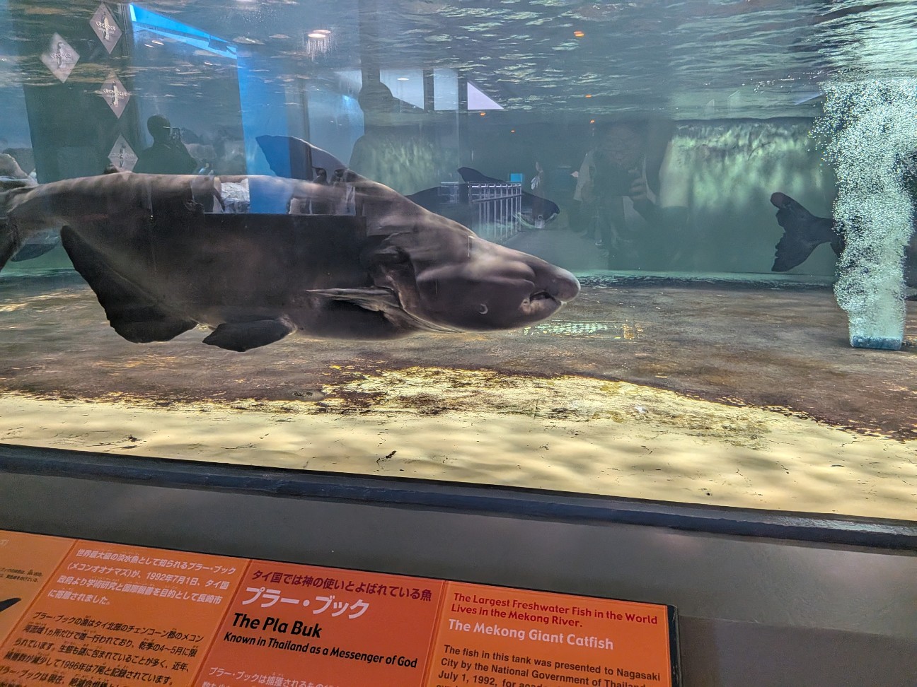 f:id:ranchou:20251005100653j:image f:id:ranchou:20251005100653j:image