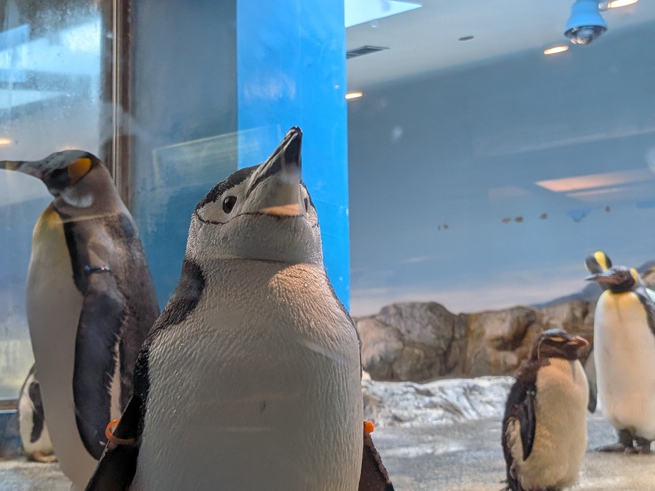 f:id:ranchou:20251005100713j:image f:id:ranchou:20251005100713j:image