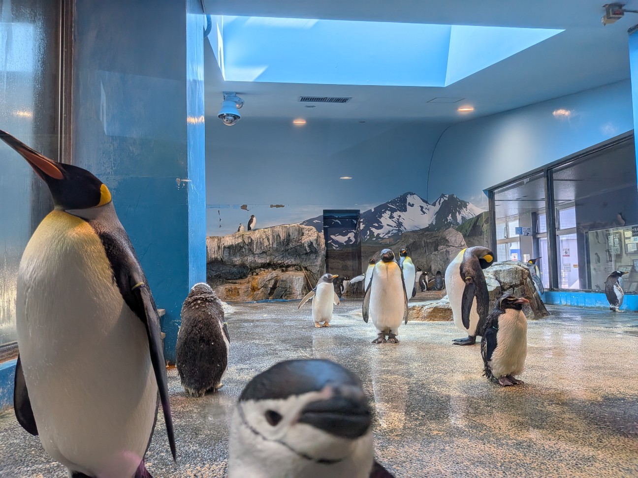 f:id:ranchou:20251005100727j:image f:id:ranchou:20251005100727j:image