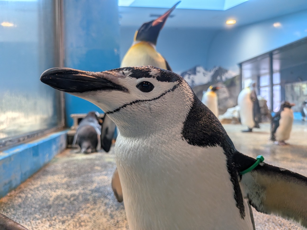 f:id:ranchou:20251005100822j:image f:id:ranchou:20251005100822j:image