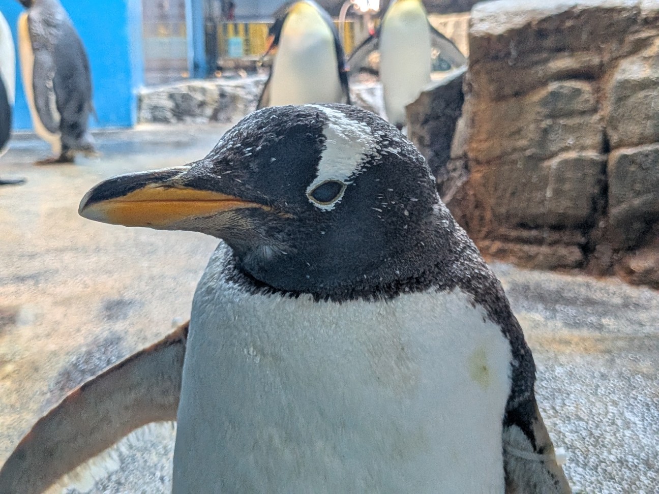 f:id:ranchou:20251005100849j:image f:id:ranchou:20251005100849j:image