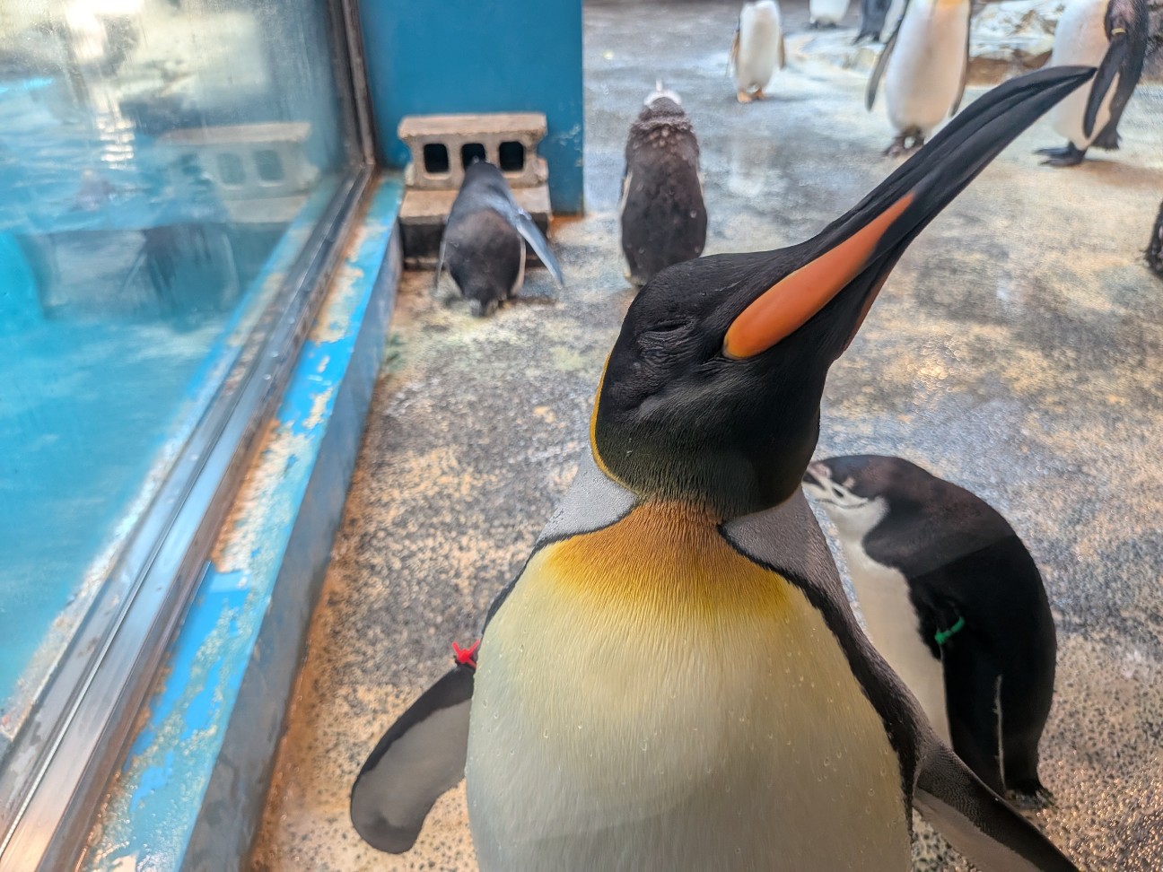 f:id:ranchou:20251005100952j:image f:id:ranchou:20251005100952j:image