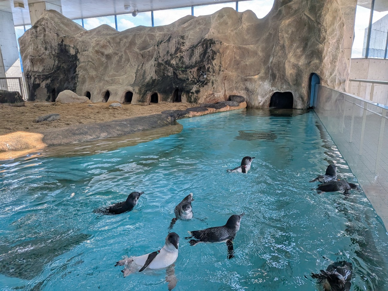 f:id:ranchou:20251005101111j:image f:id:ranchou:20251005101111j:image