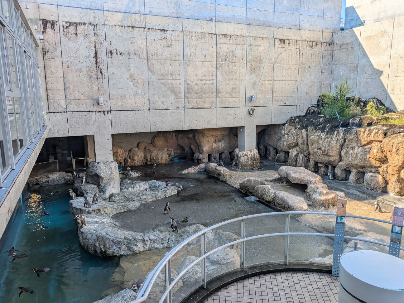 f:id:ranchou:20251005101308j:image f:id:ranchou:20251005101308j:image