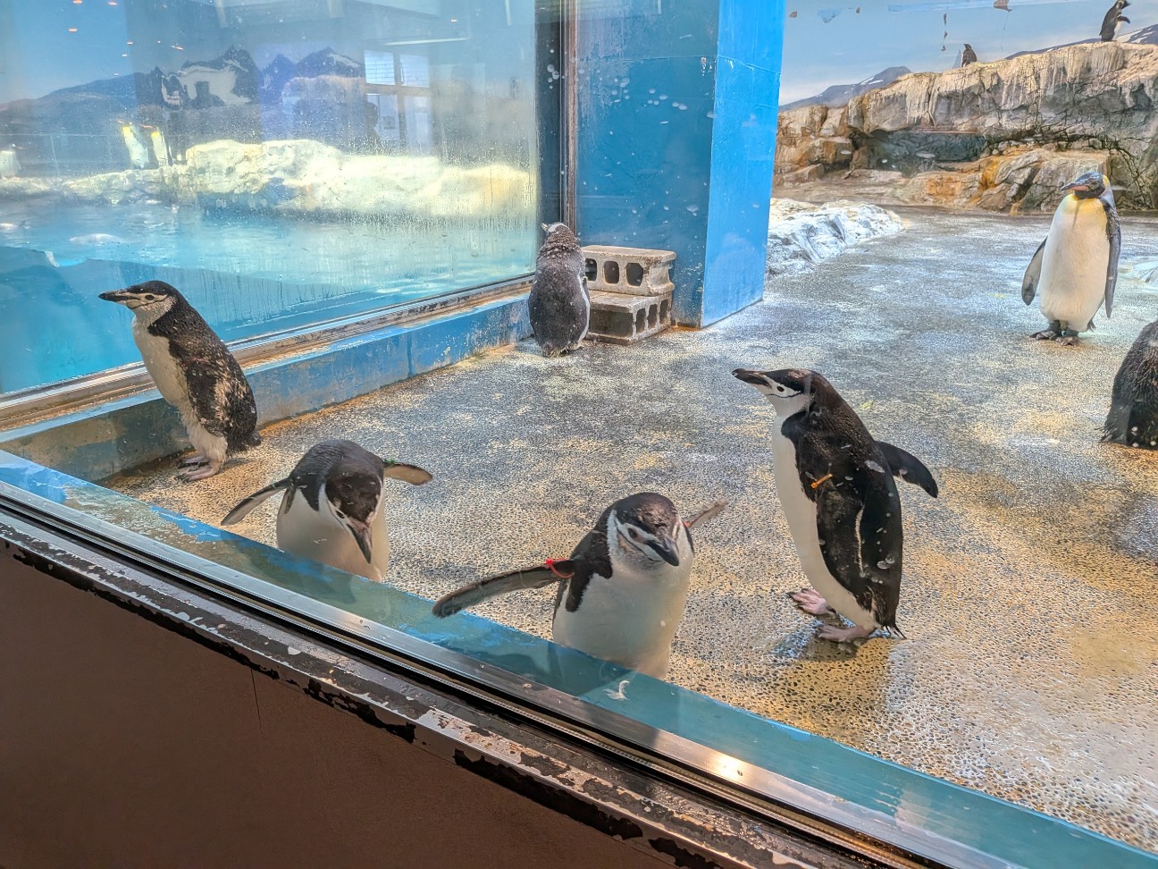 f:id:ranchou:20251005101628j:image f:id:ranchou:20251005101628j:image