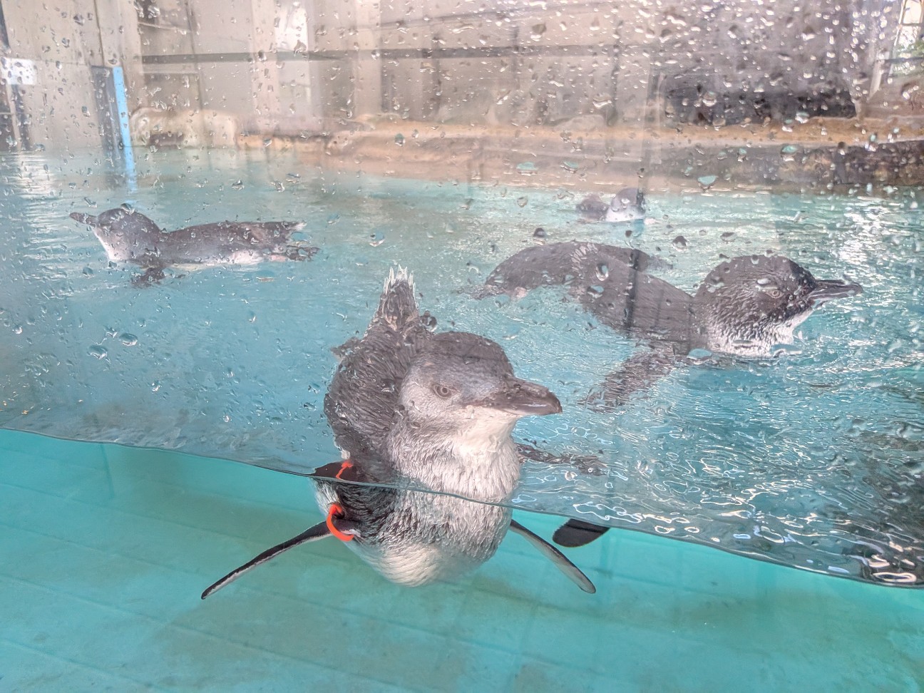 f:id:ranchou:20251005101852j:image f:id:ranchou:20251005101852j:image