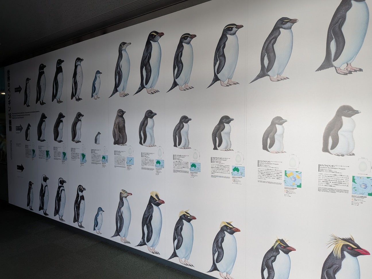 f:id:ranchou:20251005103033j:image f:id:ranchou:20251005103033j:image