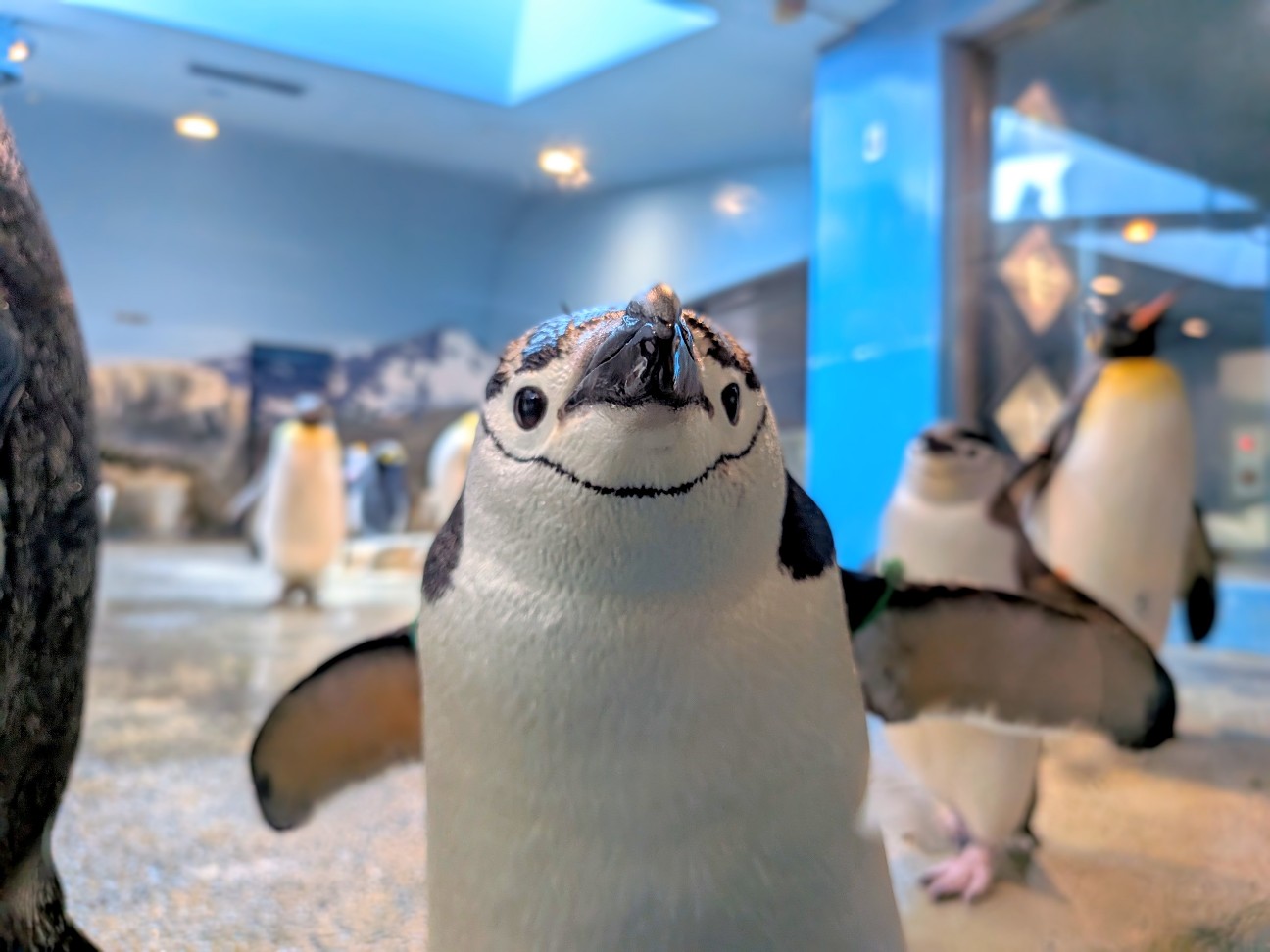 f:id:ranchou:20251005174340j:image f:id:ranchou:20251005174340j:image