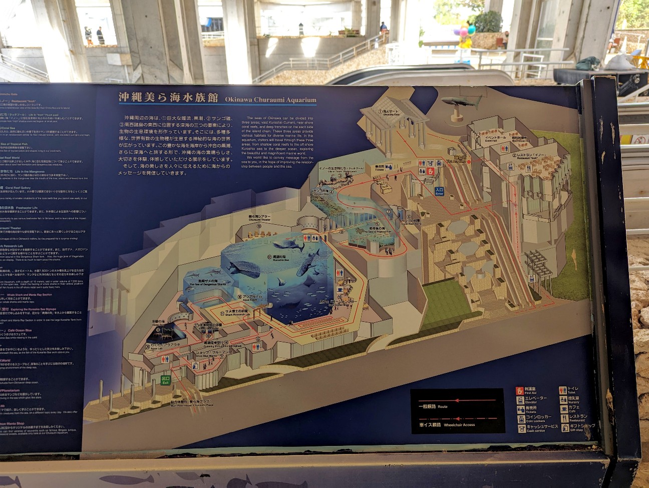 f:id:ranchou:20251018202549j:image