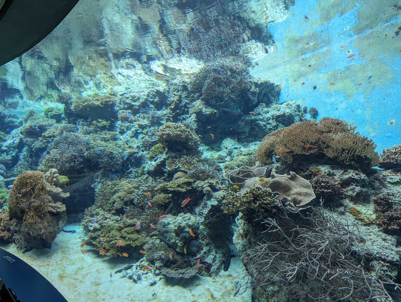 f:id:ranchou:20251018202845j:image