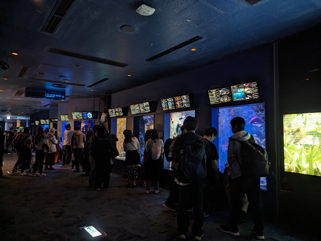 f:id:ranchou:20251018202855j:image