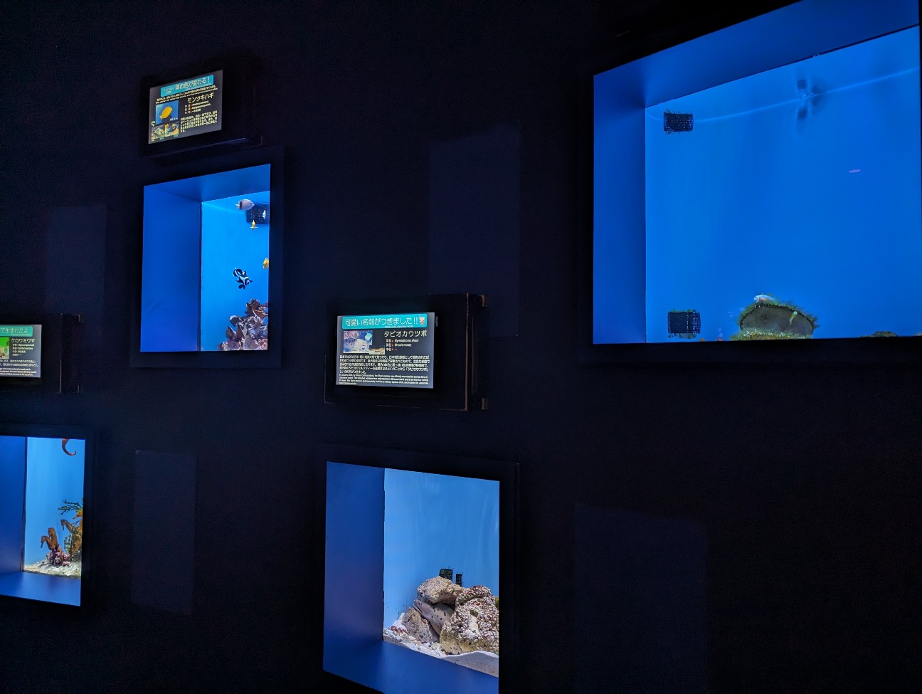 f:id:ranchou:20251018203014j:image