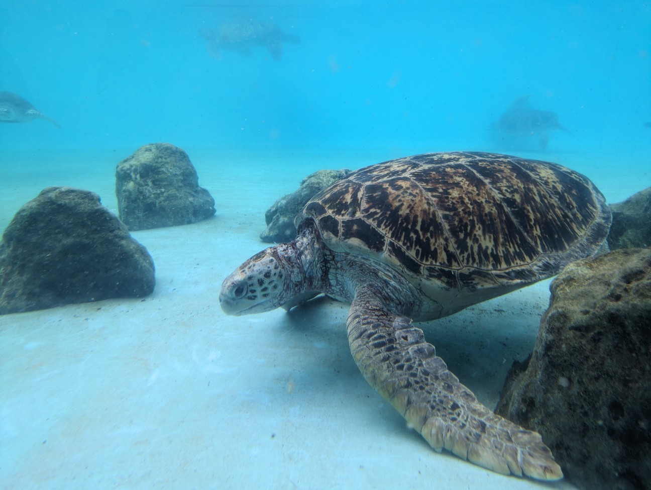 f:id:ranchou:20251018203609j:image