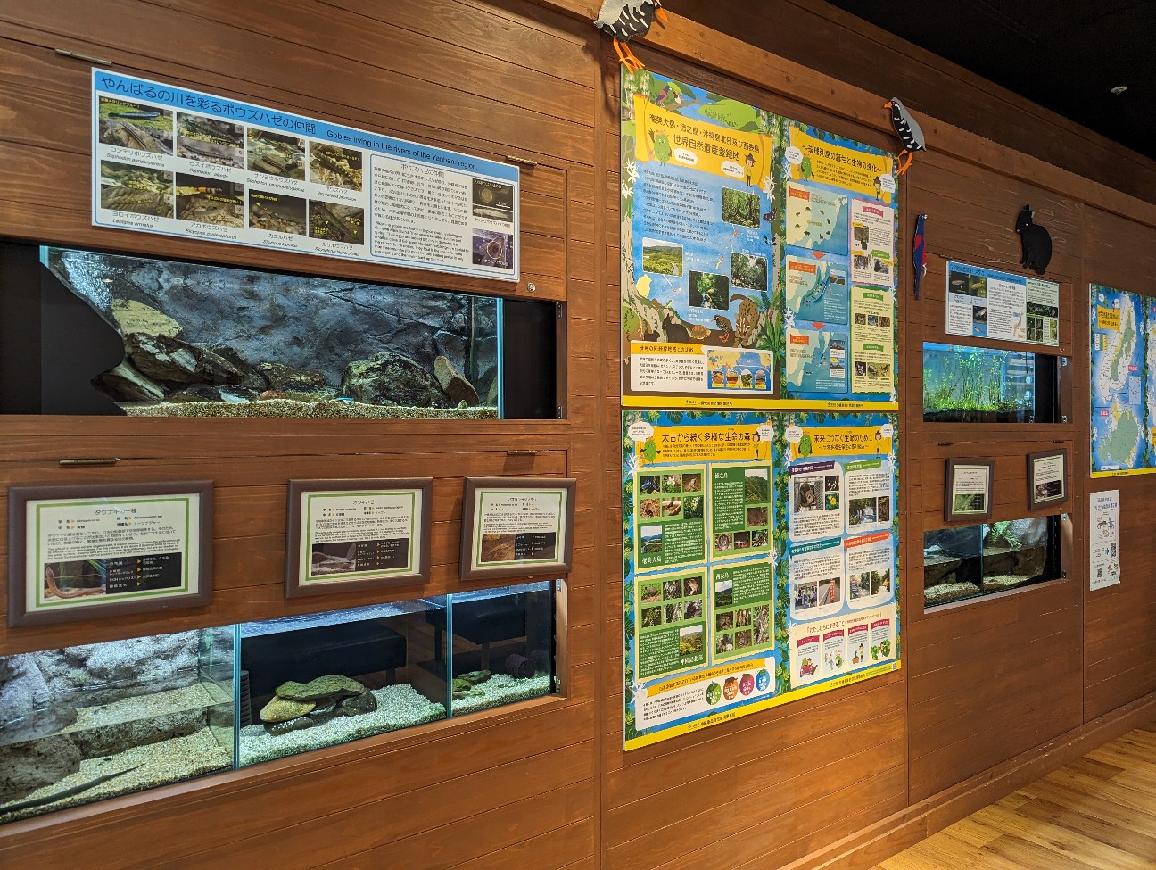 f:id:ranchou:20251018203633j:image