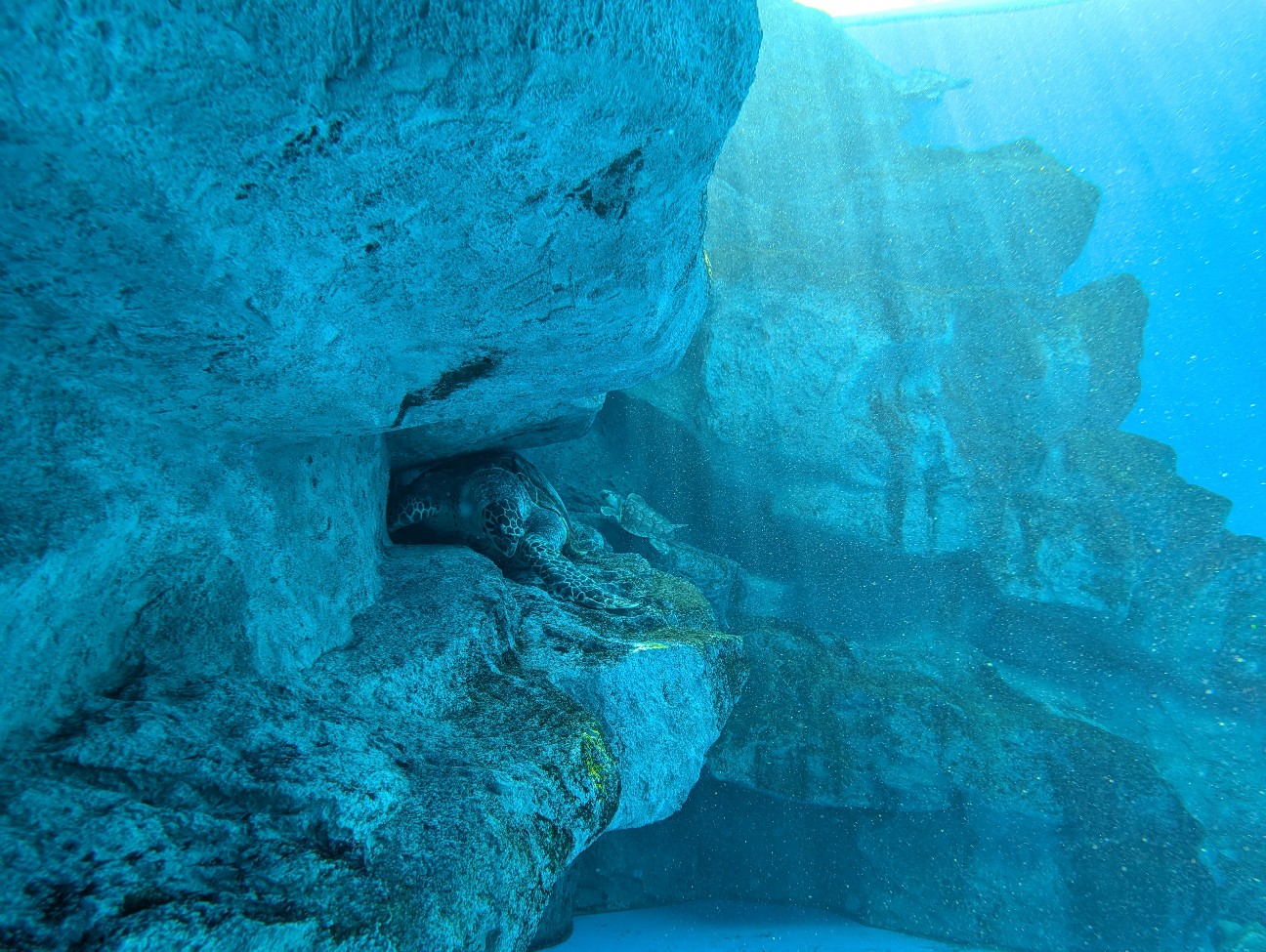 f:id:ranchou:20251024123720j:image f:id:ranchou:20251024123720j:image