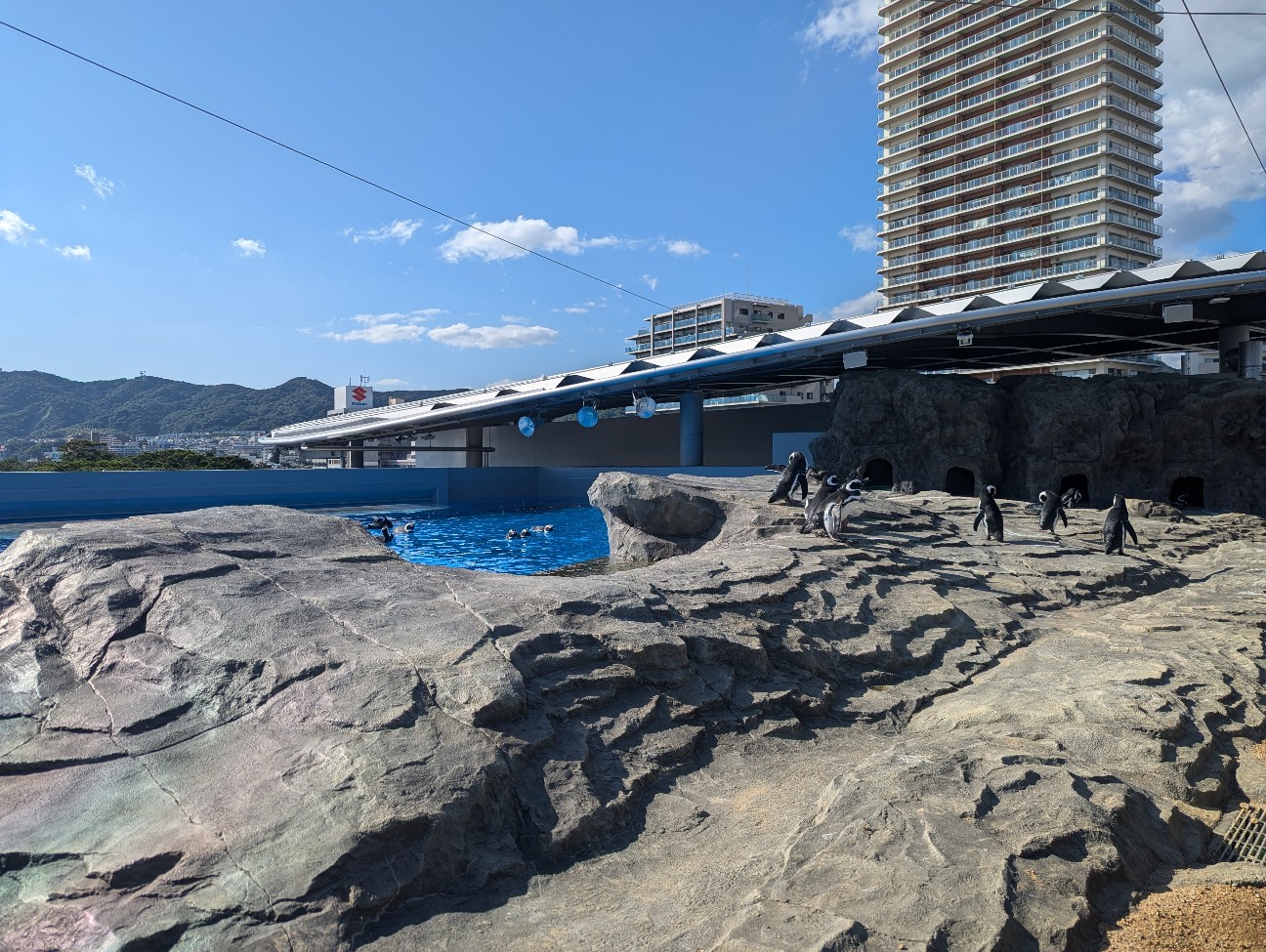 f:id:ranchou:20251024123832j:image f:id:ranchou:20251024123832j:image