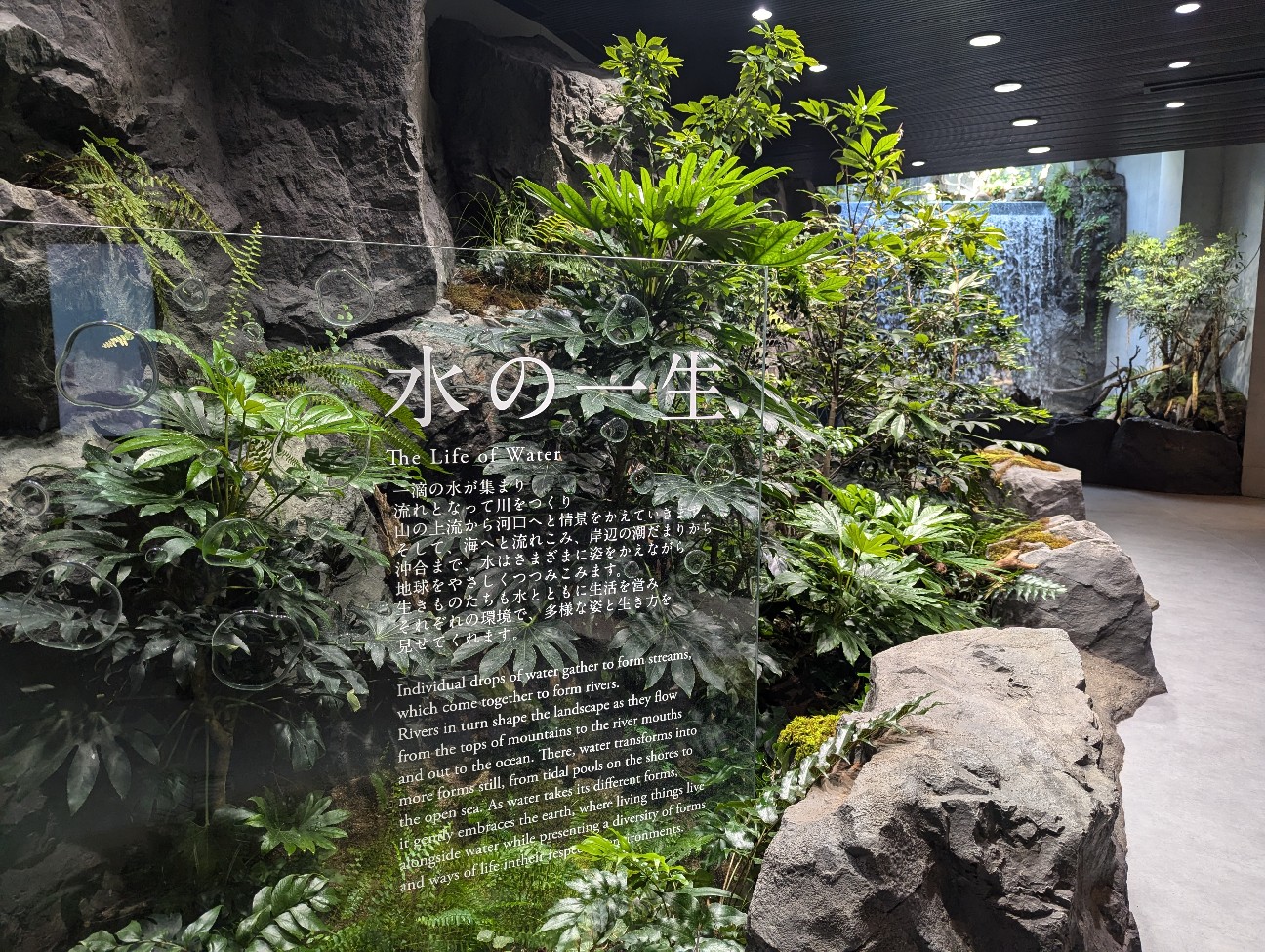 f:id:ranchou:20251024123927j:image f:id:ranchou:20251024123927j:image