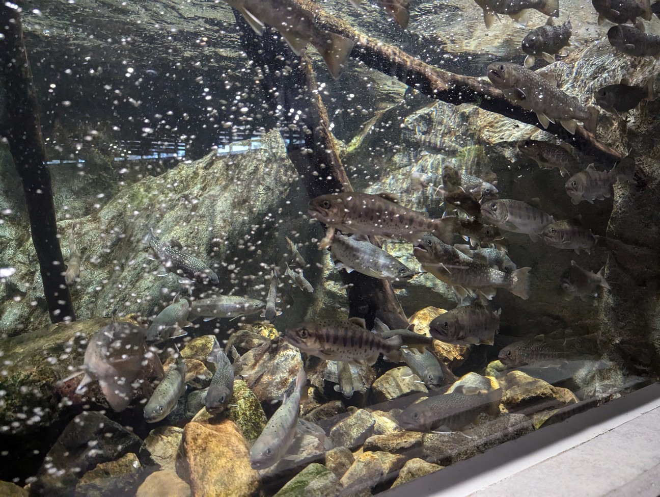 f:id:ranchou:20251024123944j:image f:id:ranchou:20251024123944j:image