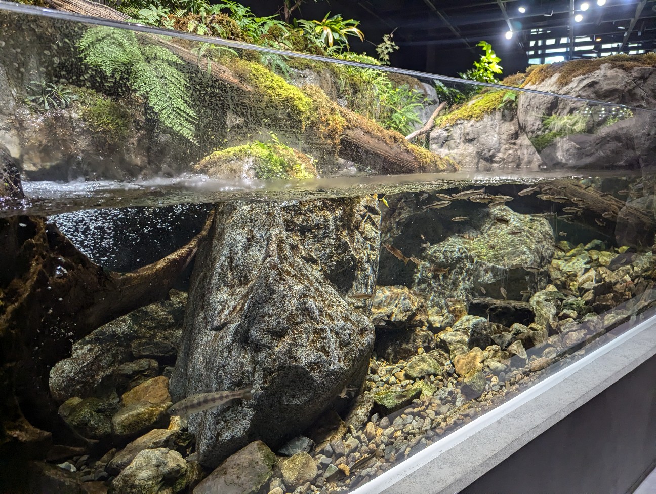 f:id:ranchou:20251024123959j:image f:id:ranchou:20251024123959j:image