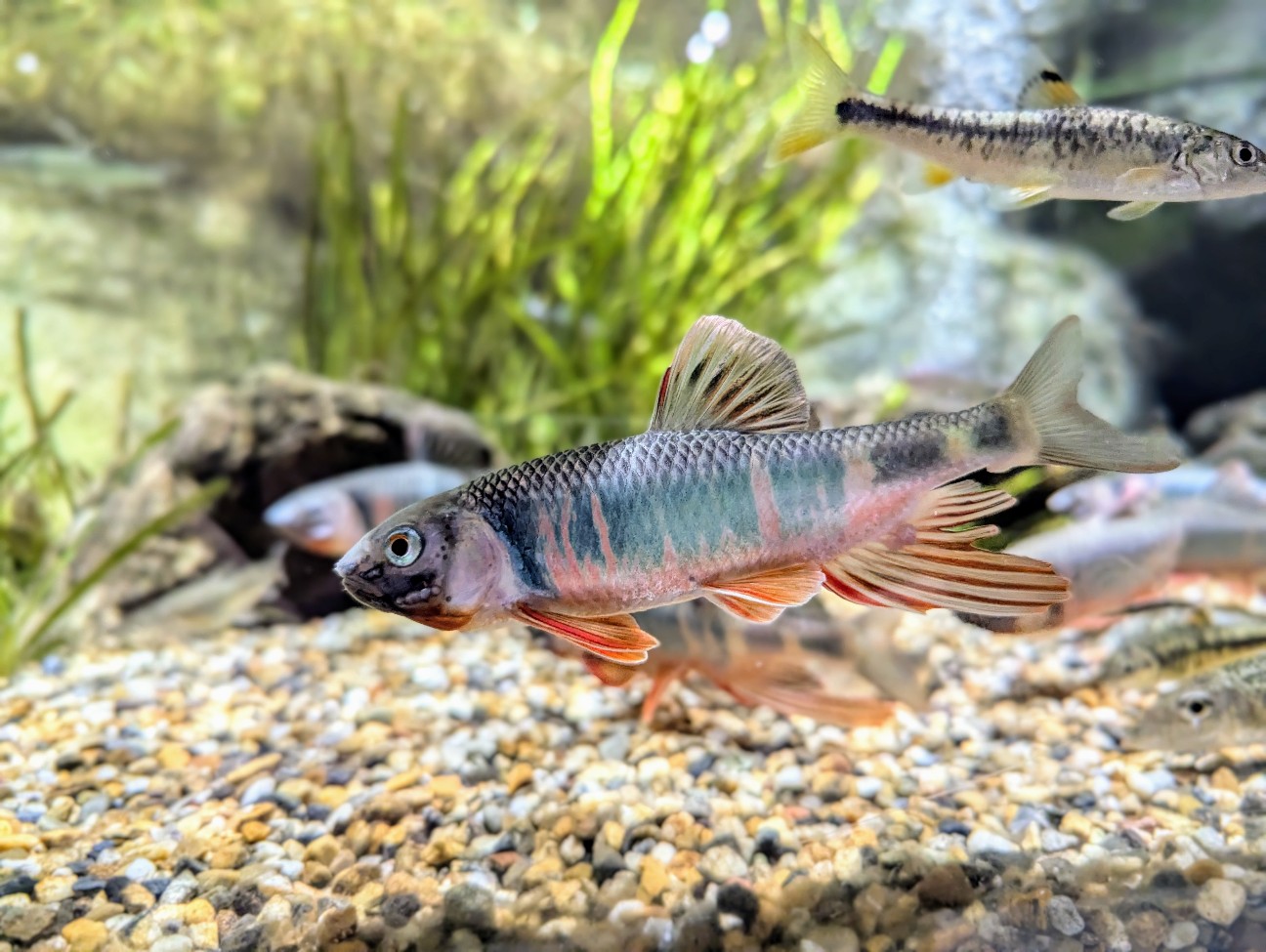 f:id:ranchou:20251024124012j:image f:id:ranchou:20251024124012j:image