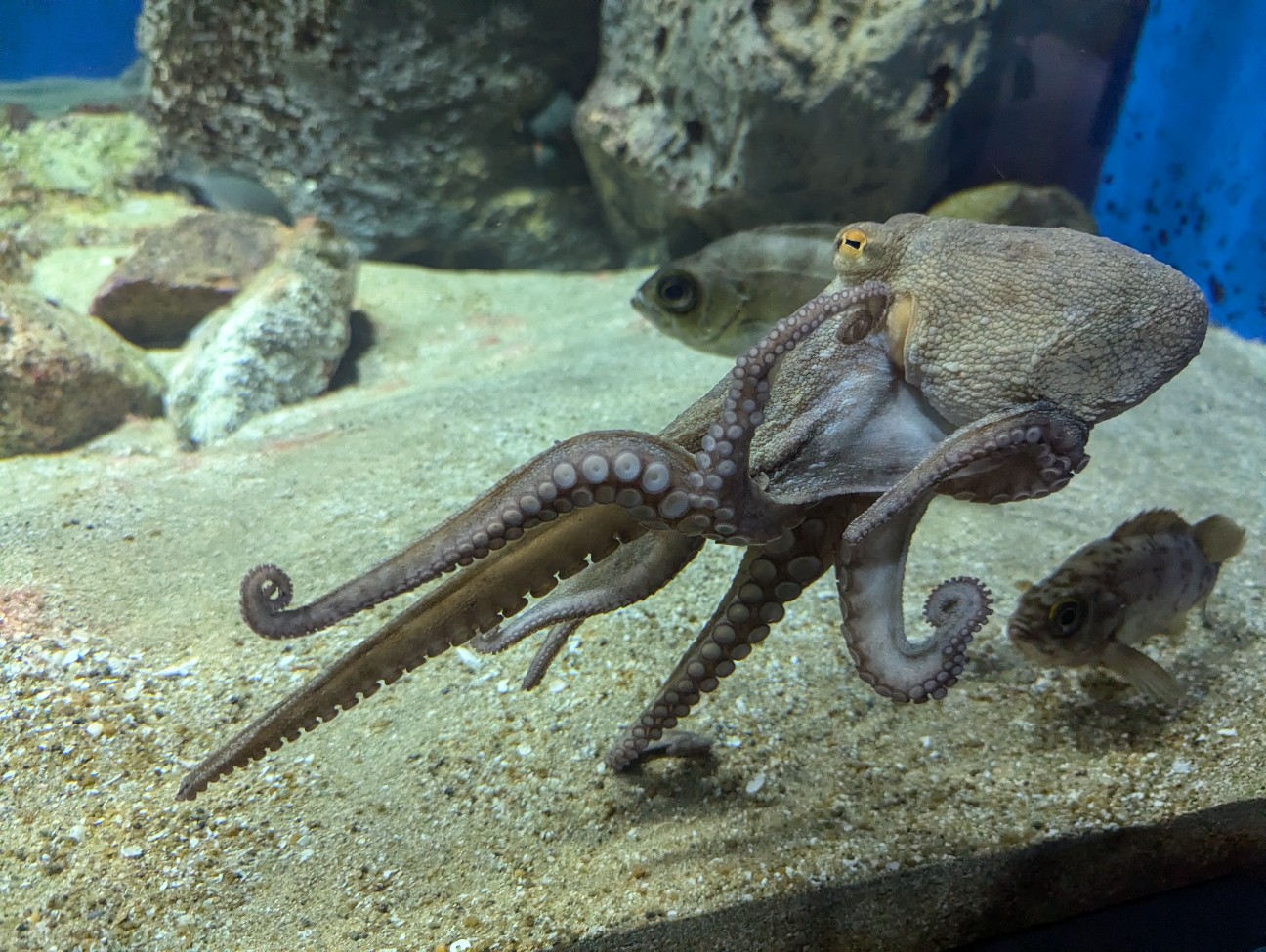 f:id:ranchou:20251024124029j:image f:id:ranchou:20251024124029j:image