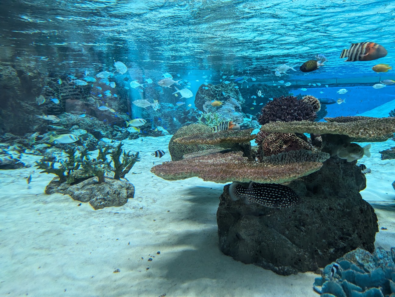 f:id:ranchou:20251024124042j:image f:id:ranchou:20251024124042j:image