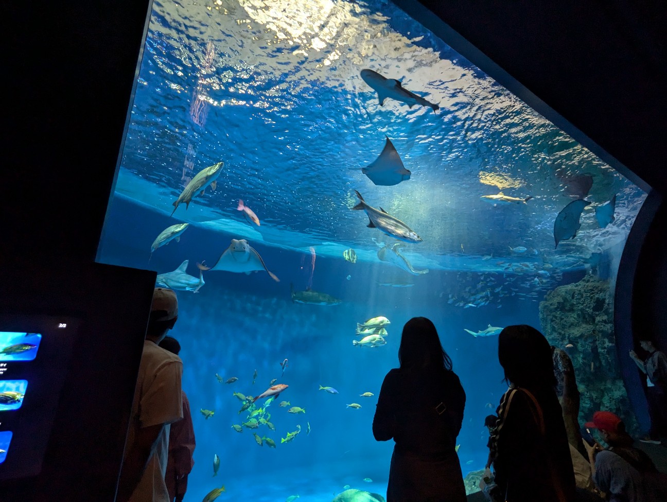 f:id:ranchou:20251024124115j:image f:id:ranchou:20251024124115j:image