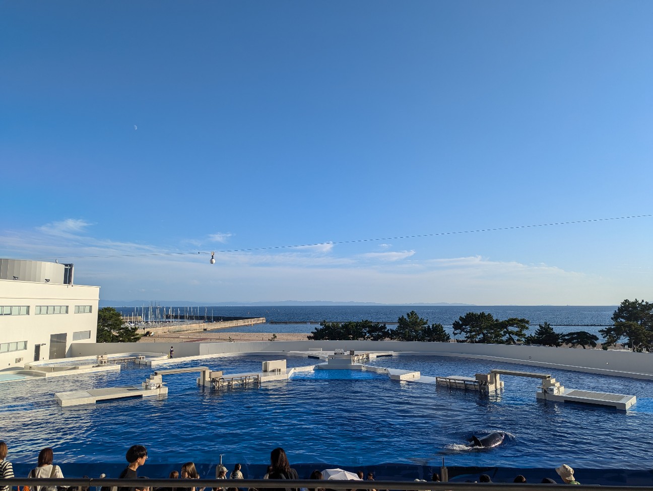 f:id:ranchou:20251025155407j:image f:id:ranchou:20251025155407j:image