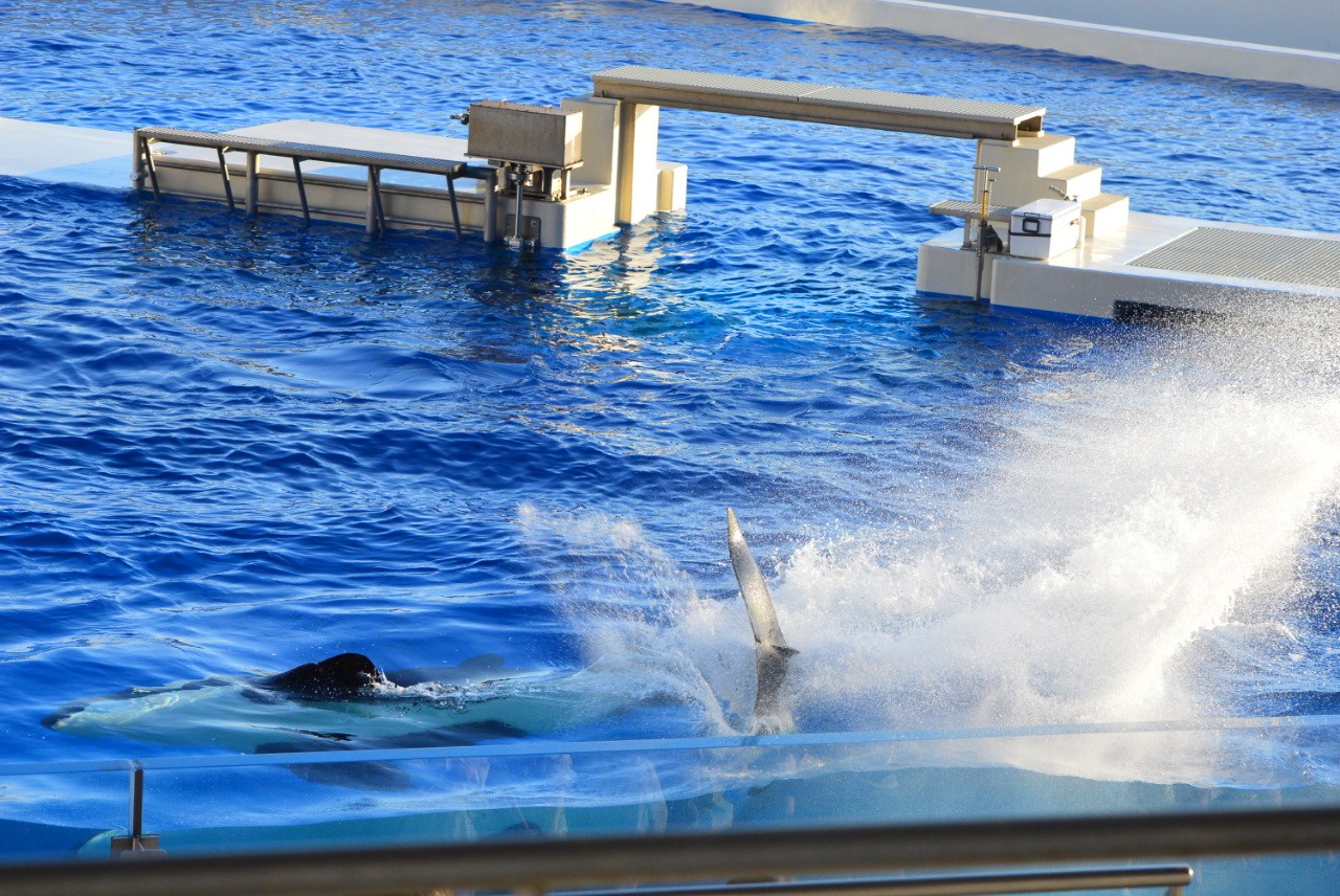 f:id:ranchou:20251025155437j:image f:id:ranchou:20251025155437j:image