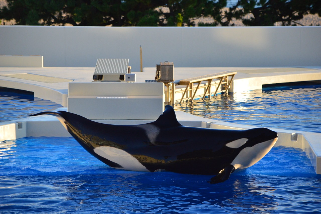 f:id:ranchou:20251025155513j:image f:id:ranchou:20251025155513j:image