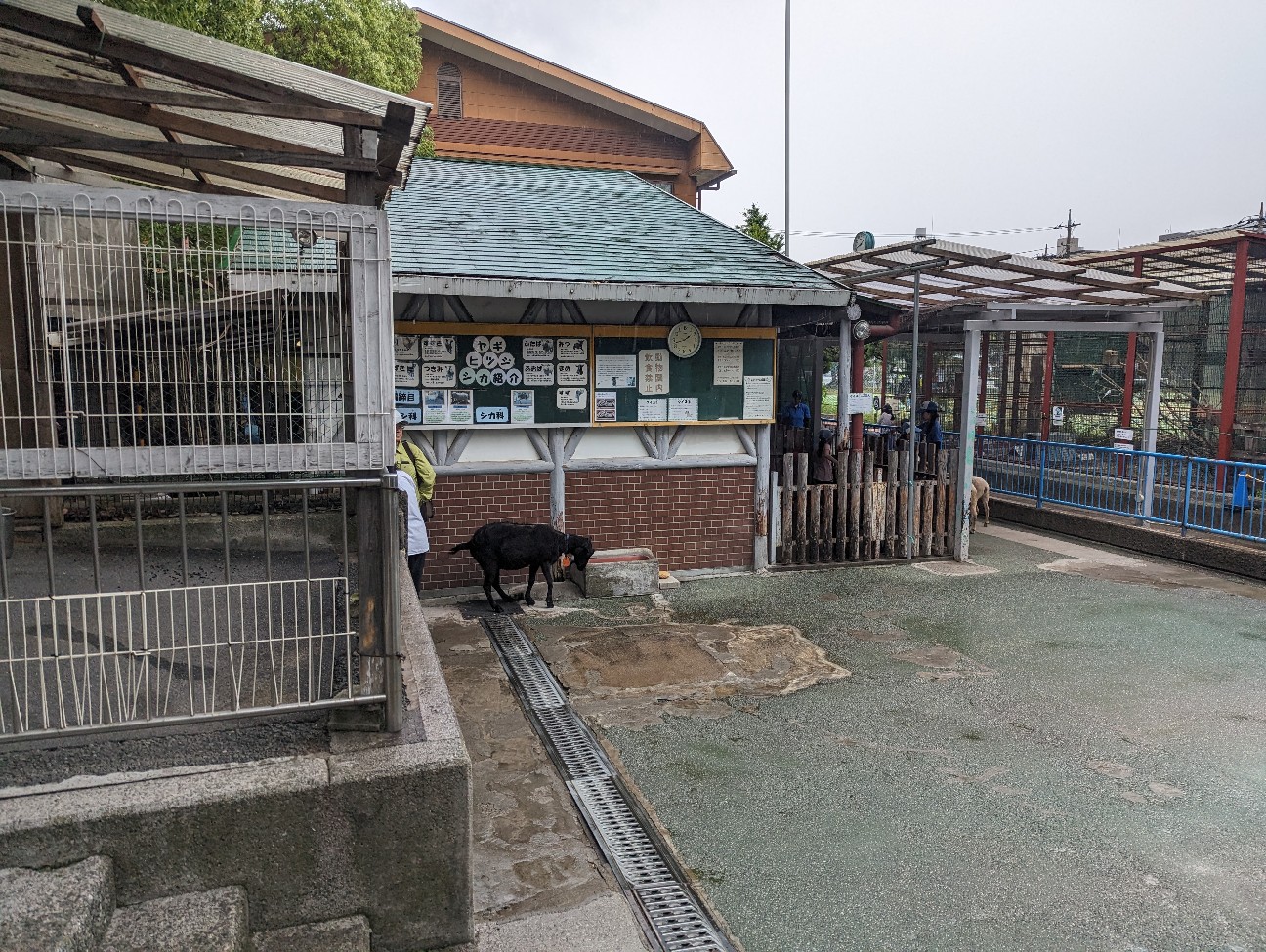 f:id:ranchou:20251030122915j:image