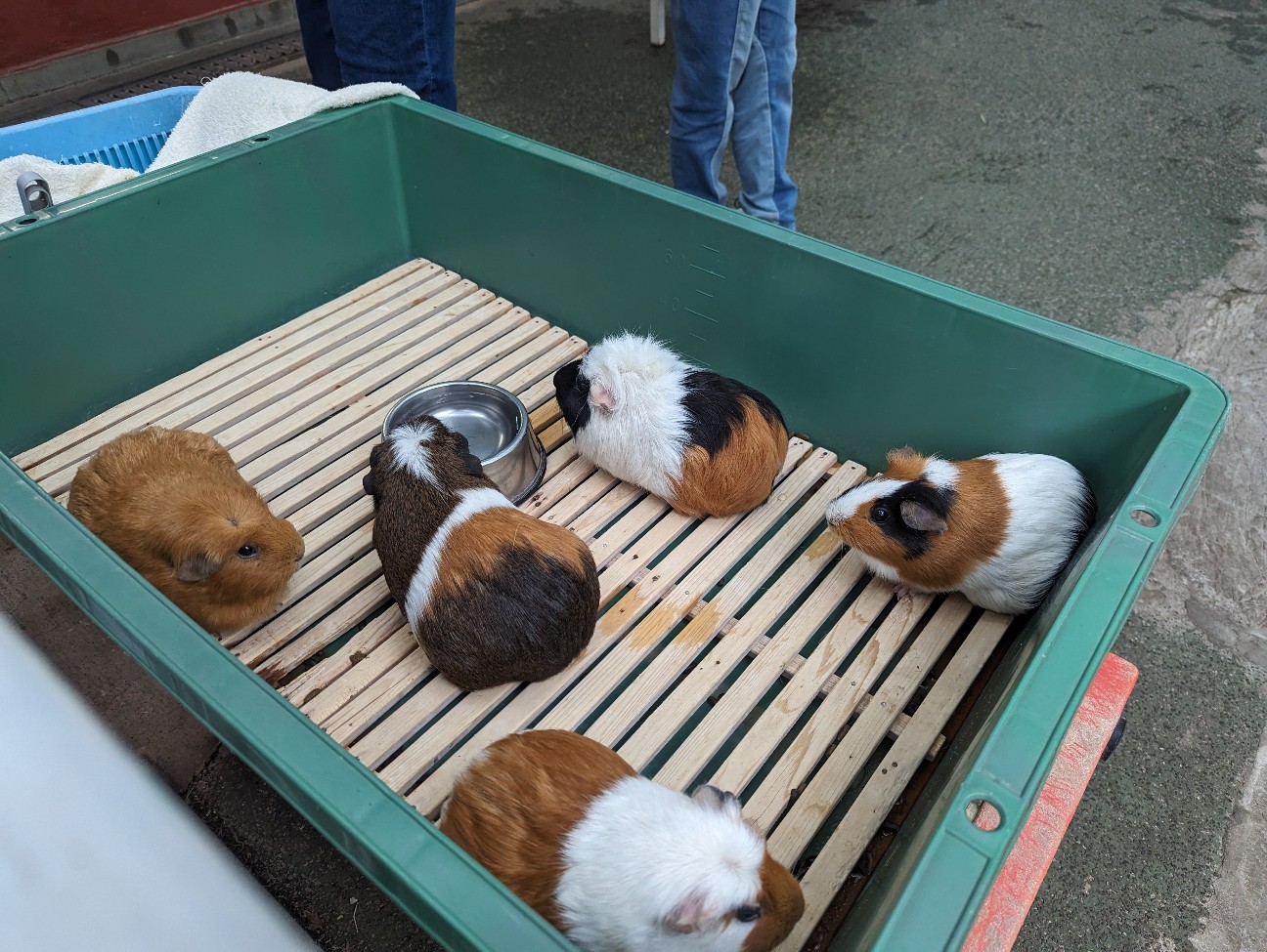 f:id:ranchou:20251030122940j:image