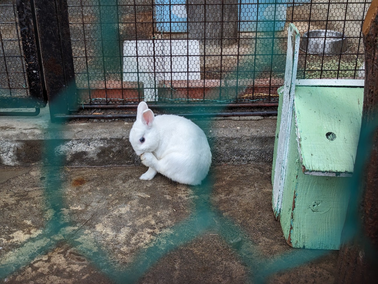 f:id:ranchou:20251030122950j:image