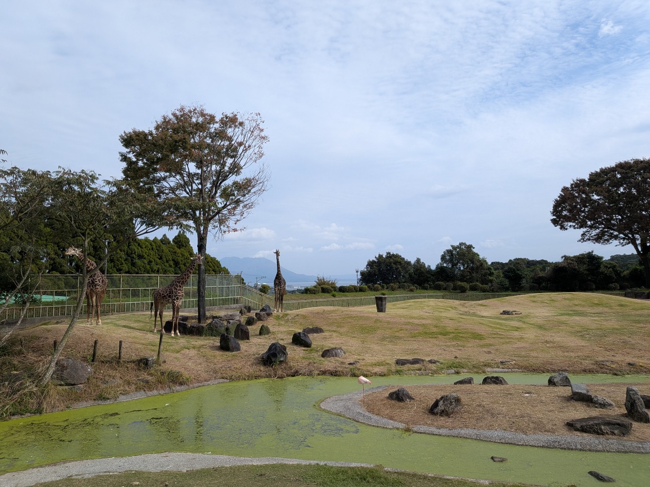 f:id:ranchou:20251102133559j:image