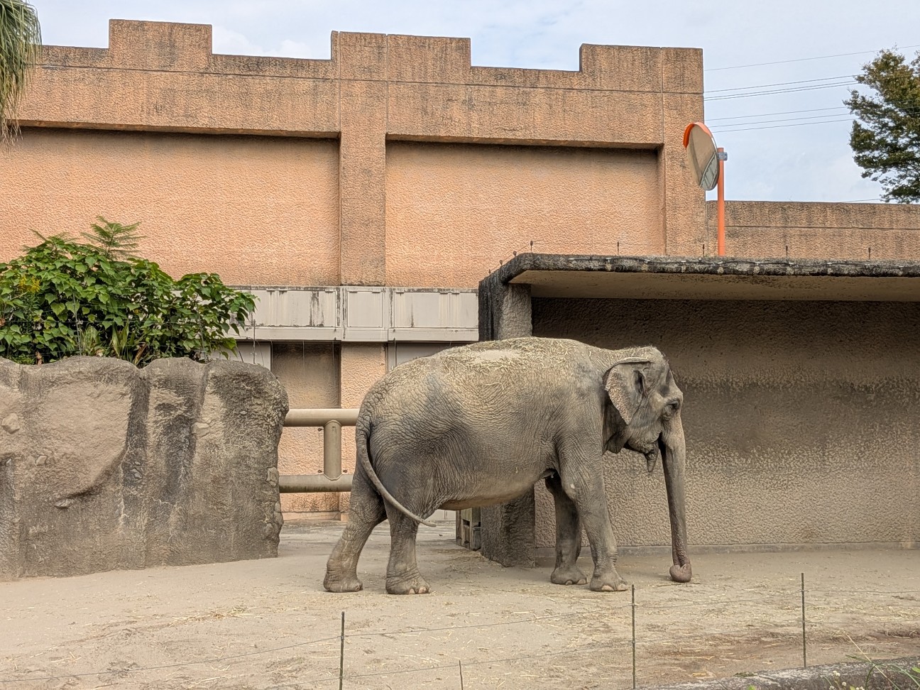 f:id:ranchou:20251103085140j:image