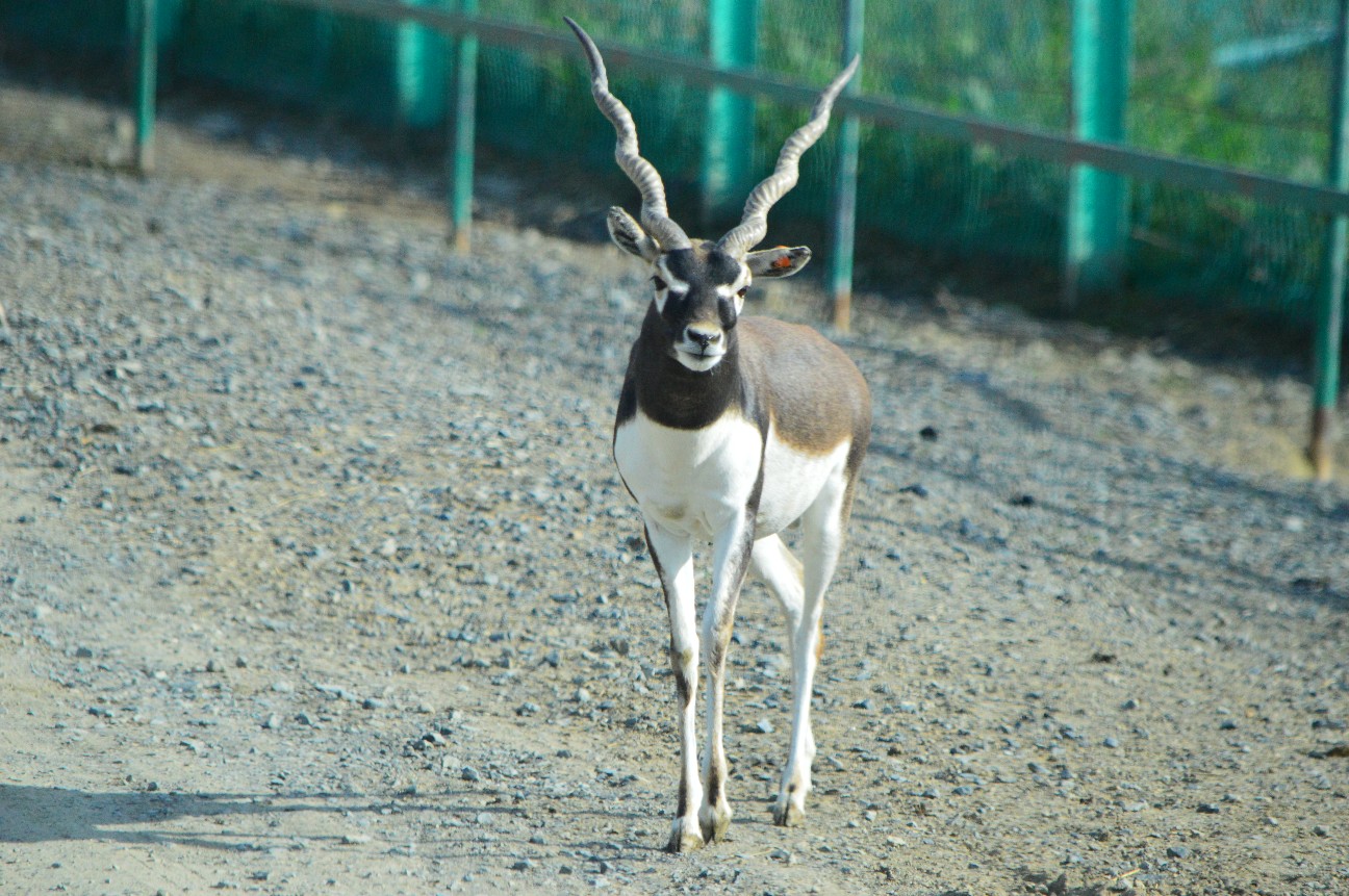 f:id:ranchou:20251103182114j:image f:id:ranchou:20251103182114j:image