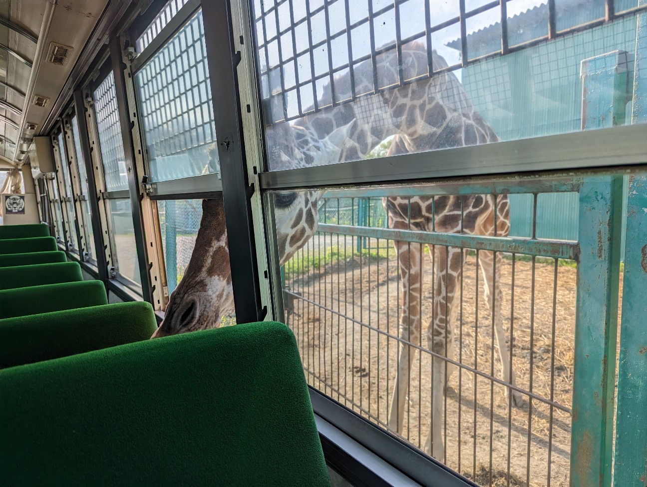 f:id:ranchou:20251103182601j:image f:id:ranchou:20251103182601j:image