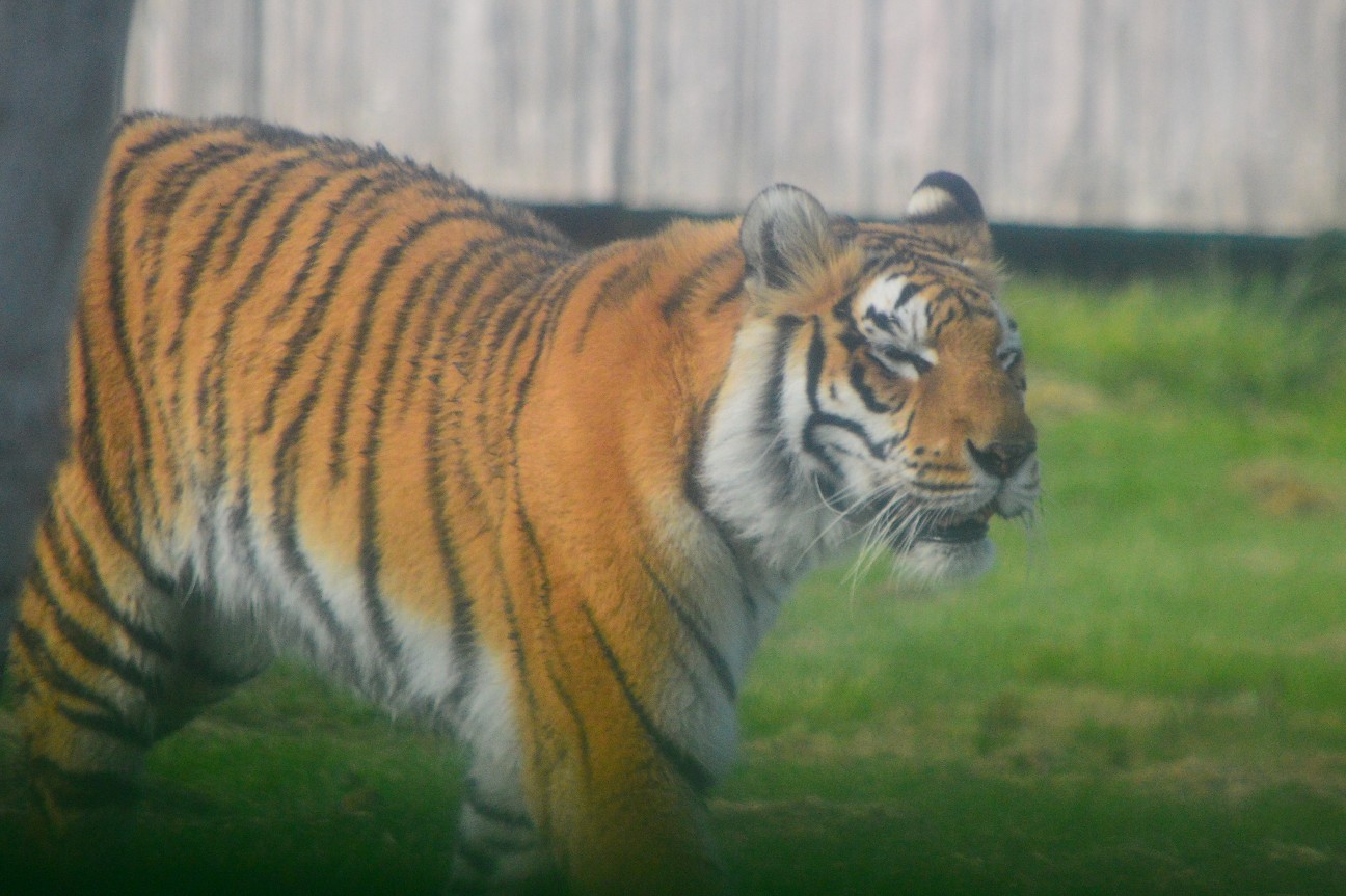 f:id:ranchou:20251103182655j:image f:id:ranchou:20251103182655j:image