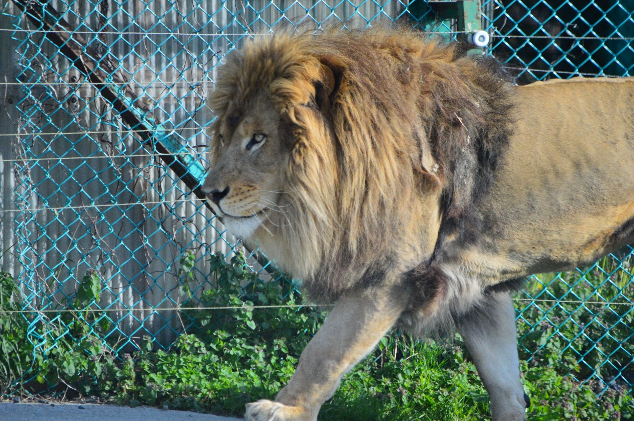 f:id:ranchou:20251103182721j:image f:id:ranchou:20251103182721j:image