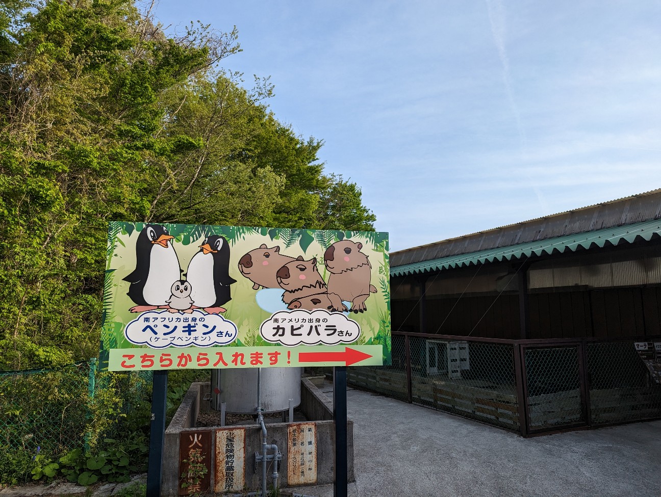 f:id:ranchou:20251103182732j:image f:id:ranchou:20251103182732j:image