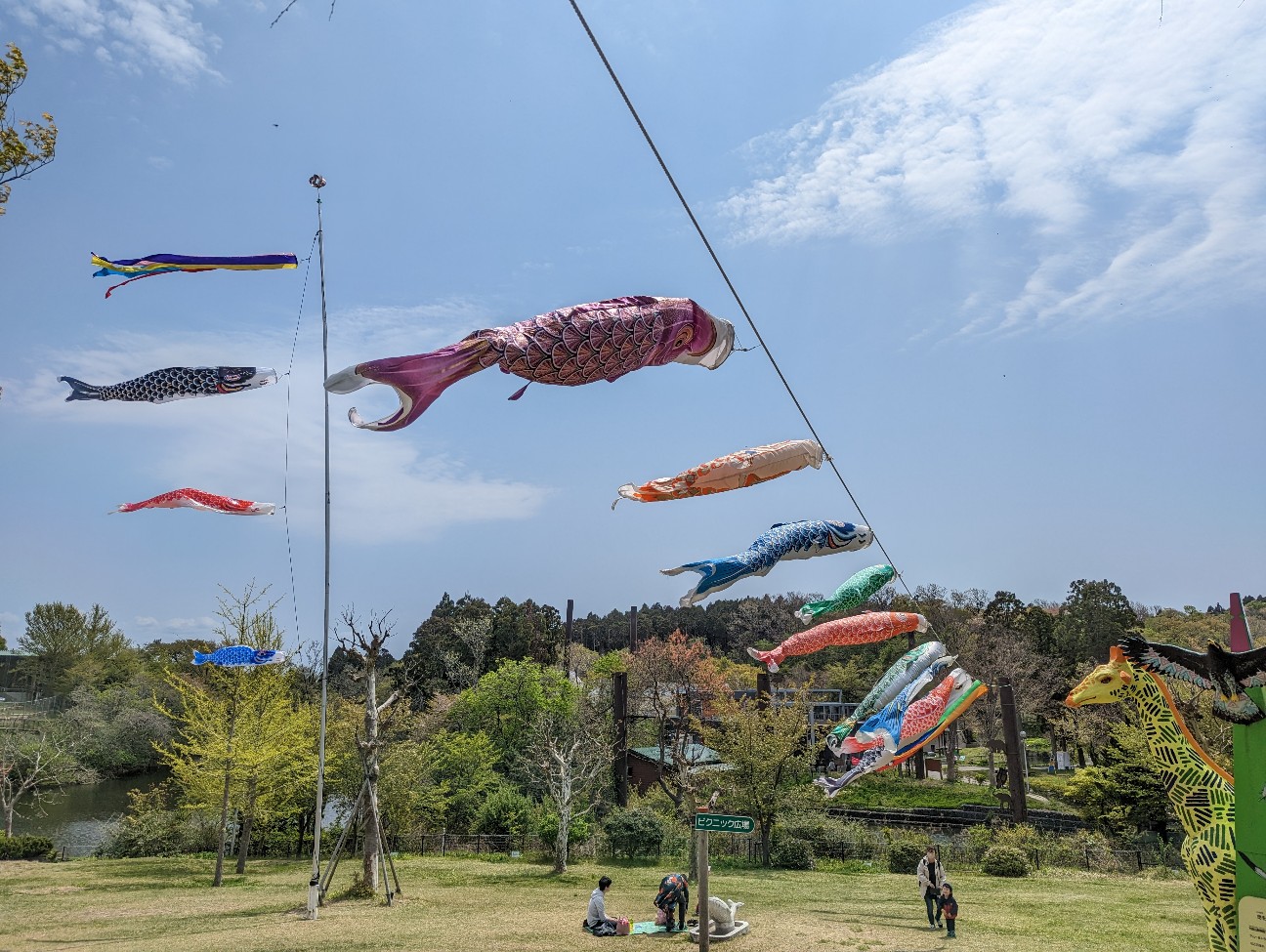 f:id:ranchou:20251108190006j:image