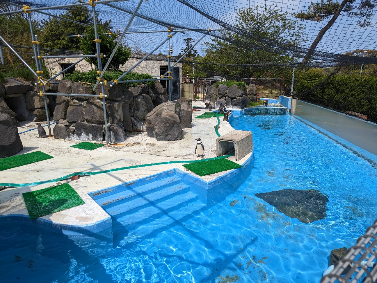 f:id:ranchou:20251108190151j:image