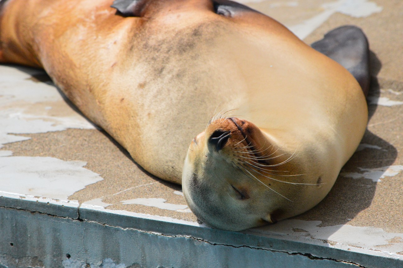 f:id:ranchou:20251108190236j:image