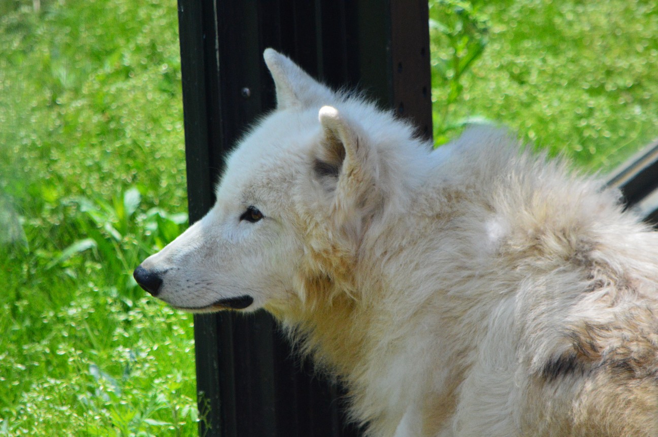 f:id:ranchou:20251108190311j:image