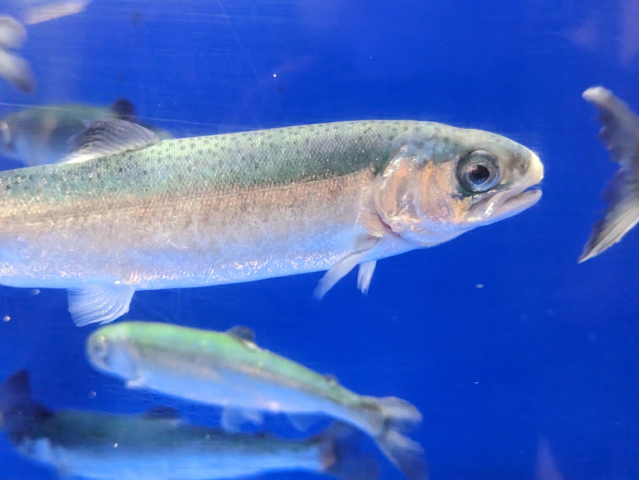 f:id:ranchou:20251115162750j:image f:id:ranchou:20251115162750j:image