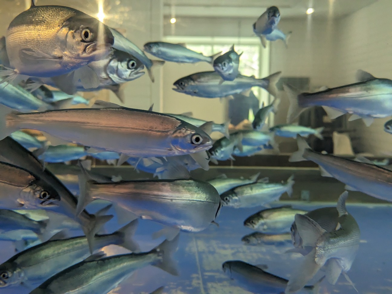 f:id:ranchou:20251115162805j:image f:id:ranchou:20251115162805j:image